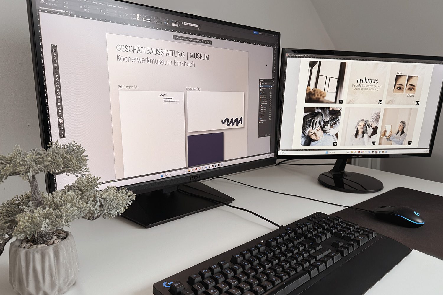 Zwei Computerbildschirme auf einem Schreibtisch mit einer Tastatur und einer Pflanze.