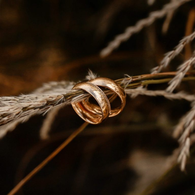 Zwei goldene Eheringe hängen auf einem trockenen Grashalm.